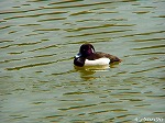 20070323 05.jpg